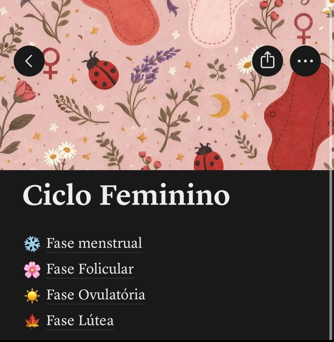 Guia Ciclo Feminino